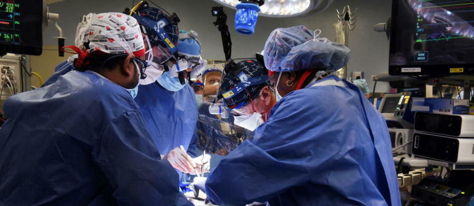 Les chirurgiens de l'université du Maryland, en train de pratiquer une greffe d'un cœur de porc génétiquement modifié.
