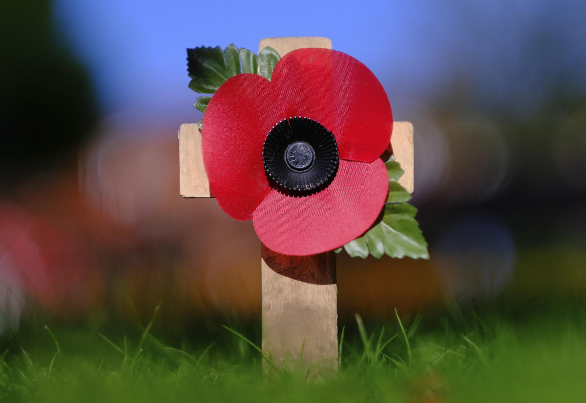 When is Remembrance Day 2023 and when do you start wearing a poppy?