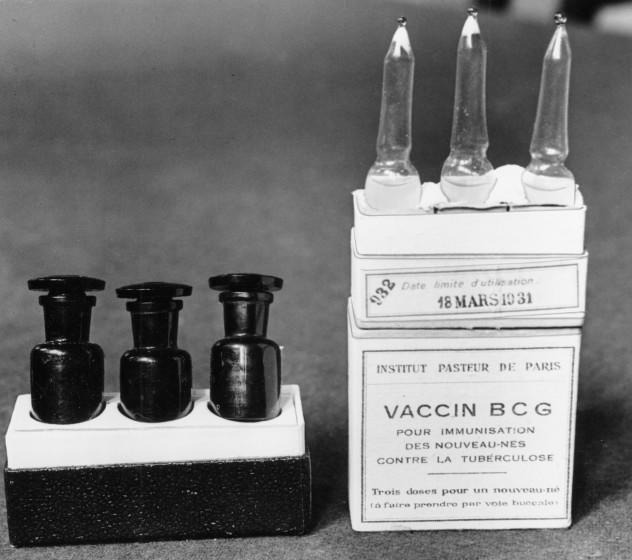 FILE - This March 1931 file photo shows ampules of the BCG vaccine against tuberculosis in a laboratory at the Institute Pasteur in Paris, France. Dec. 2, 1947 file photo. Scientists are dusting off some decades-old vaccines against TB and polio to see if they could provide stopgap protection against COVID-19 until a more precise shot arrives. (AP Photo/Alfred Eisenstaedt)