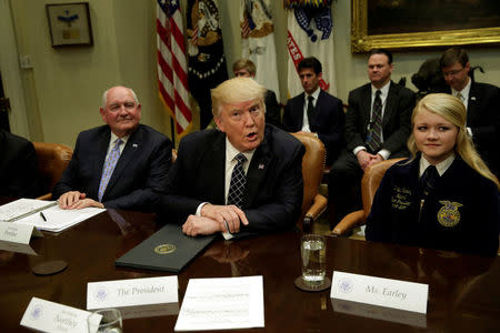 U.S. President Donald Trump talks to the media during a roundtable discussion with farmers at the White House in Washington, U.S. April 25, 2017. REUTERS/Yuri Gripas