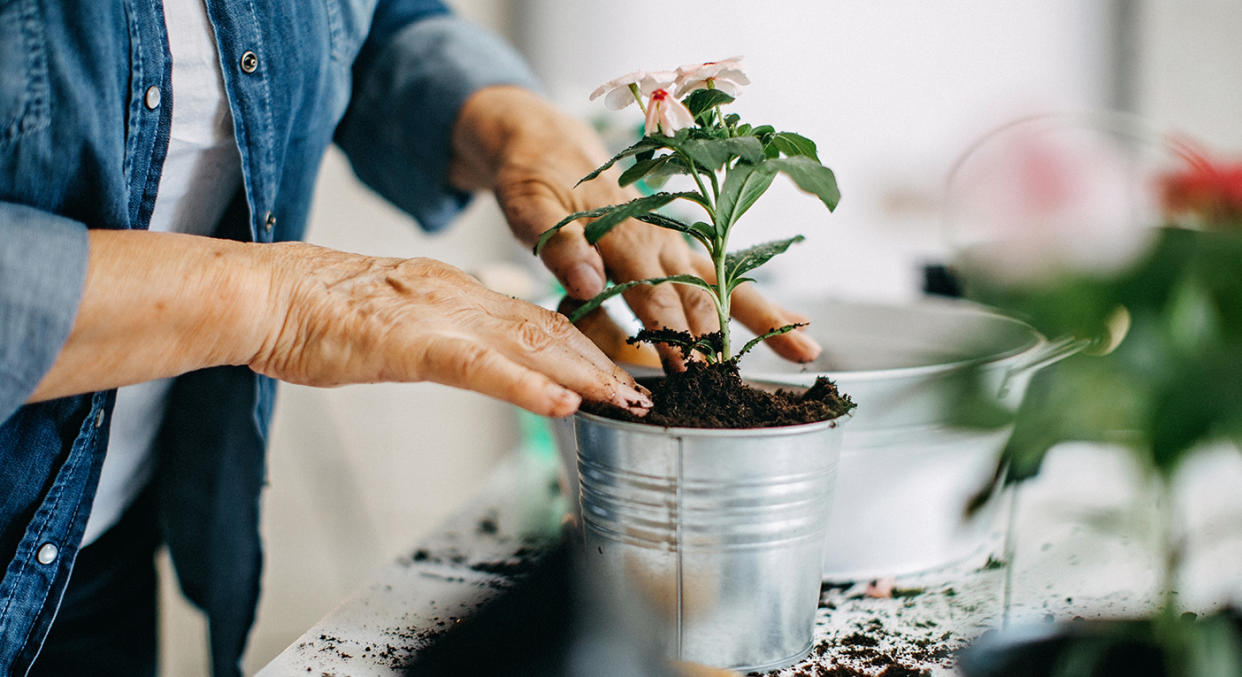 Whether you are a green fingered guru, or want to try your hand at gardening, Aldi's planting kit is the perfect investment to channel your creative juices.  (Getty Images)