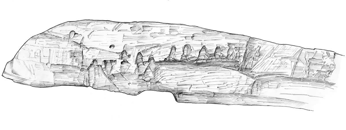 An archaeological illustration shows intentional cut marks on Britain’s oldest carved wood (Historic England Archive/Judith Dobie)