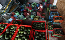 In this Oct. 2, 2019 photo, a worker wipes his hands while filling crates with avocados at a packing warehouse in Ziracuaretiro, Michoacan. The region’s avocado boom, fueled by soaring U.S. consumption, has drawn parts of western Mexico out of poverty in just 10 years. But the scent of money has drawn gangs and hyper-violent cartels. (AP Photo/Marco Ugarte)