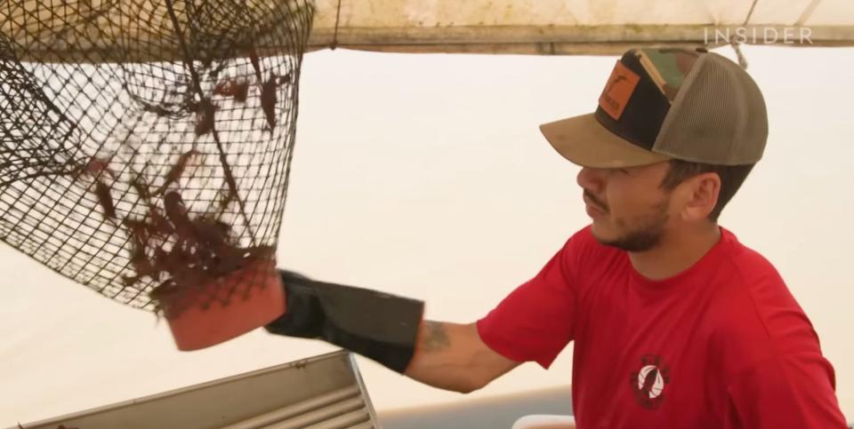 A Parish Seafood Wholesale order dumps crawfish from a trap into his boat that is controlled with foot pedals.