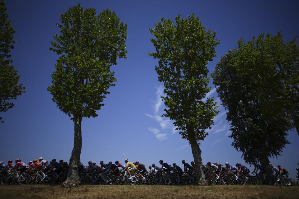 The pack with France's Romain Bardet, wearing the overall leader's yellow jersey, center, rides during the second stage of the Tour de France cycling race over 199.2 kilometers (123.8 miles) with start in Cesenatico and finish in Bologna, Italy, Sunday, June 30, 2024. (AP Photo/Daniel Cole)