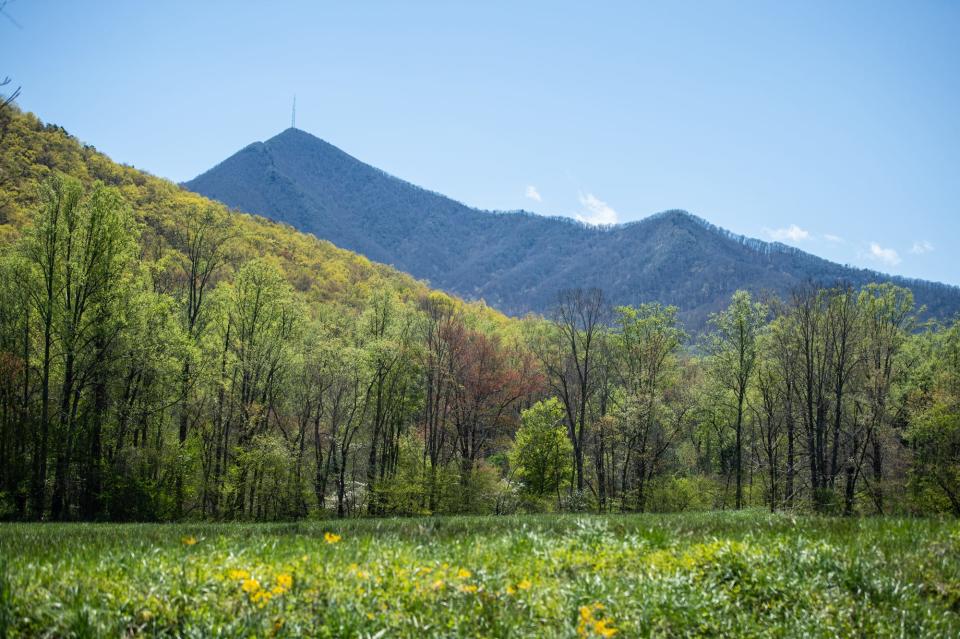 Pisgah View Ranch, which has been owned by the Cogburn family since the 1700's, will soon be Buncombe County's first state park.