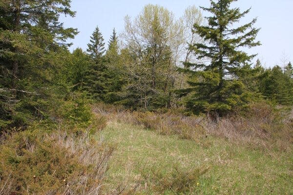 Lot #10065 near St. Ignace and Lake Michigan. Provided by the Michigan Department of Natural Resources.