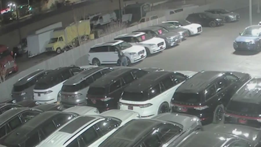 Surveillance image of car dealership thieves