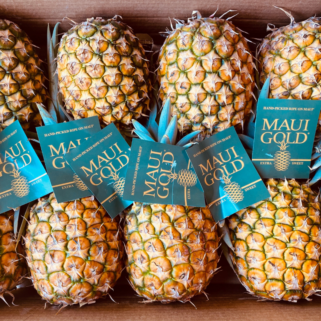 <p><a href="https://go.redirectingat.com?id=74968X1596630&url=https%3A%2F%2Fmauipineapplestore.com%2Fone-time-pineapple-shipment-25-lb-case-includes-shipping%2F&sref=https%3A%2F%2F" rel="nofollow noopener" target="_blank" data-ylk="slk:Shop Now;elm:context_link;itc:0;sec:content-canvas" class="link rapid-noclick-resp">Shop Now</a></p><p>Pineapples</p><p>mauipineapplestore.com</p><p>$99.99</p>