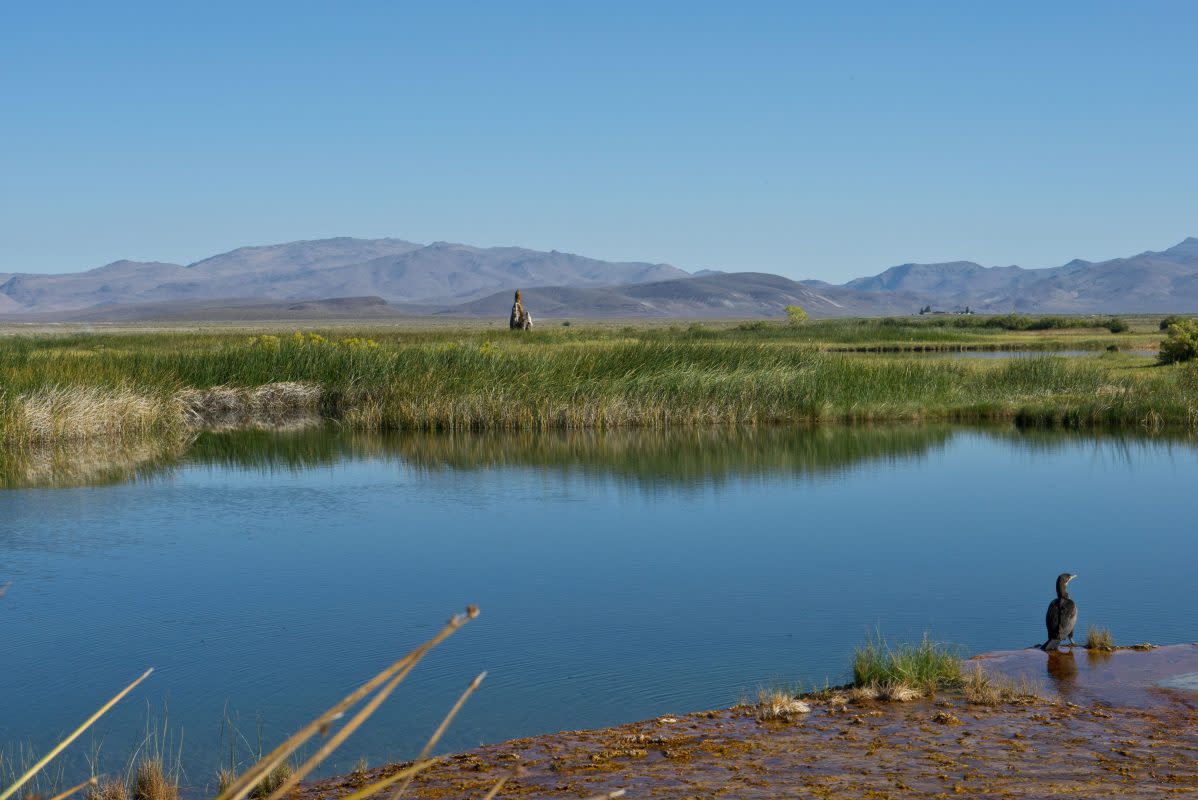 Burning Man's Fly Ranch in Nevada