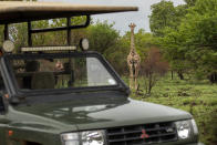 Tebogo Masiu, and Smagele Twala are greeted by a giraffe during a game drive in the Dinokeng game reserve near Hammanskraal, South Africa Sunday Dec. 5, 2021. Recent travel bans imposed on South Africa and neighboring countries as a result of the discovery of the omicron variant in southern Africa have hammered the country’s safari business, already hard hit by the pandemic. (AP Photo/Jerome Delay)