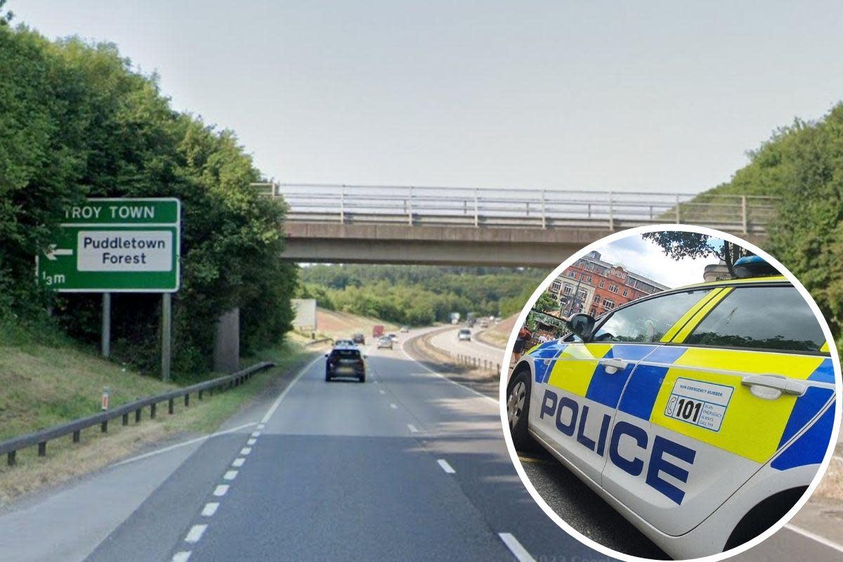 A car and lorry have crashed on the A35 <i>(Image: Google Maps, Dorset Police)</i>