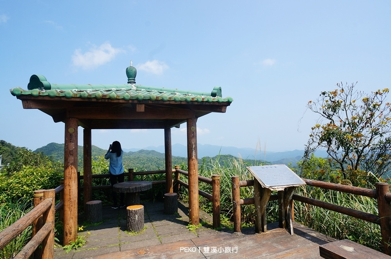 雙溪小旅行.新北一日遊.雙溪螢火蟲.雙溪山水綠境民宿.雙溪火車站.新北小旅行.壽山宮農夫市集.良心菜攤.