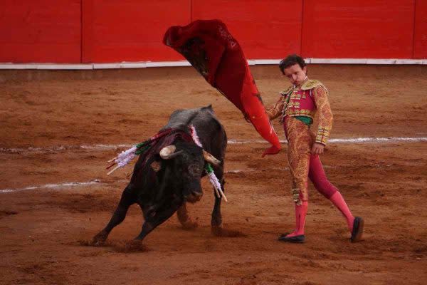 El espectáculo taurino es visto por algunos como un arte, pero para otro sector es tortura y maltrato animal.