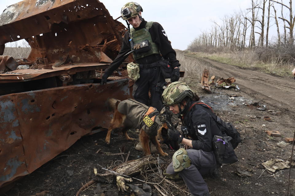 Volunteers and cynologists search for bodies of killed Ukrainian and Russian soldiers near a damaged vehicle in the Kharkiv region, Ukraine, Friday, March 24, 2023. (Roman Chop via AP)