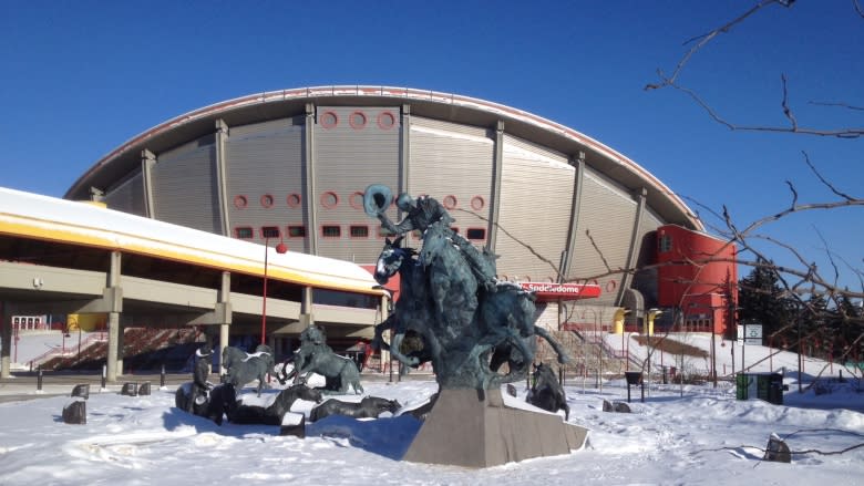 Arena plan for Saddledome replacement expected soon