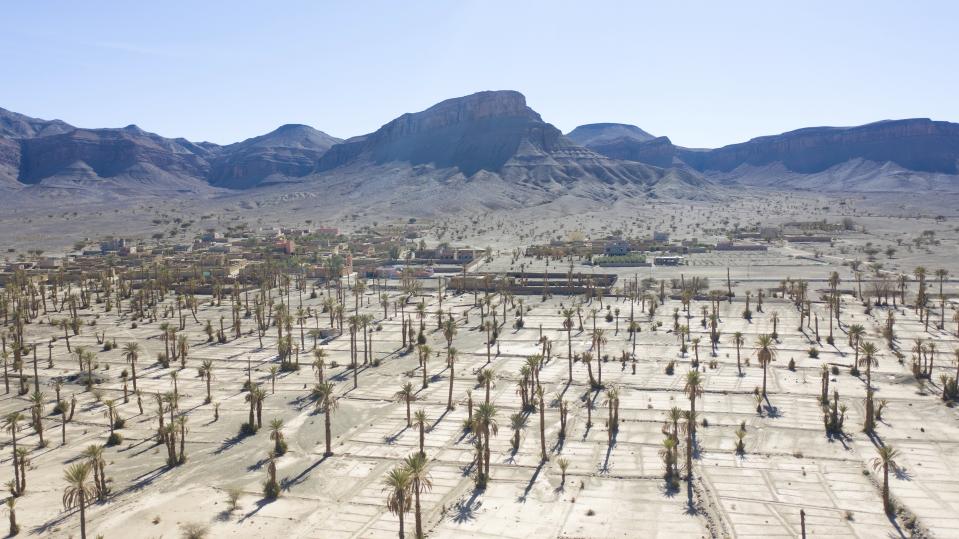 Dead palm trees are visible in the Nkob town, near Zagora, Morocco, Monday, Nov. 28, 2022. The centuries-old oases that have been a trademark of Morocco are under threat from climate change, which has created an emergency for the kingdom's agriculture. (AP Photo/Mosa'ab Elshamy)