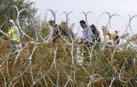 Migrants pass behind a barbwire fence near a collection point in Roszke, Hungary, September 10, 2015. REUTERS/Laszlo Balogh