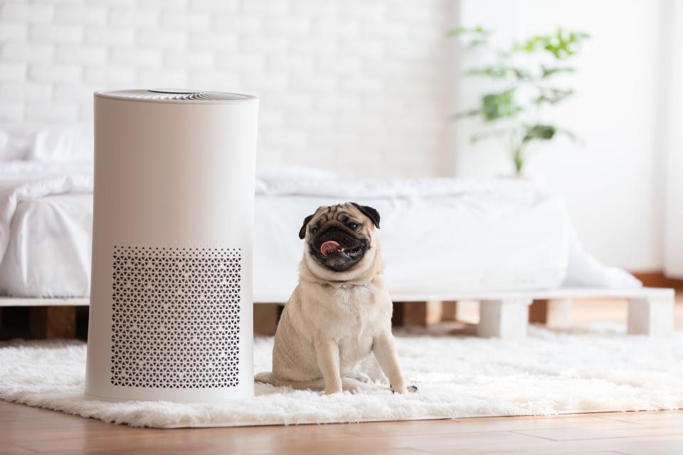 HEPA air purifiers filter air and remove dust and germs.