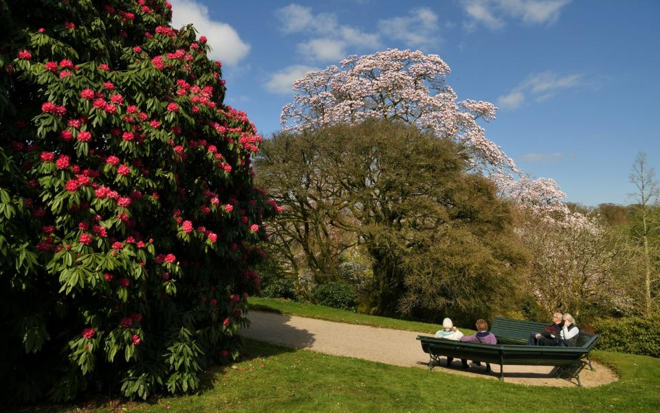 Visitors in the garden in spring at Lanhydrock, Cornwall