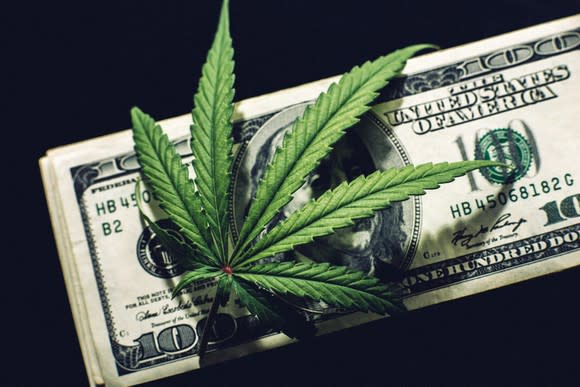 A cannabis leaf lying atop a neat stack of hundred dollar bills with a dark background.