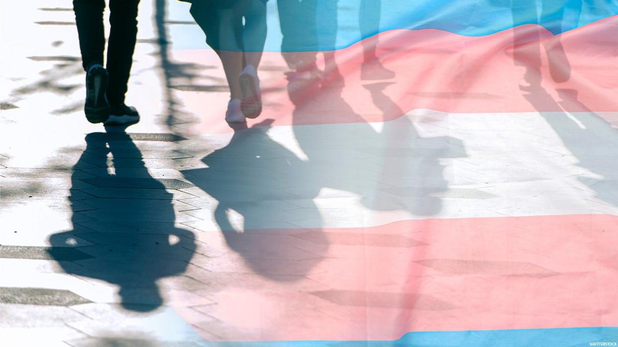 People walking along a path with a blended-in trans pride flag