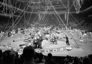 <p>Elephants and dancers go through their paces in opening stages of first night of the Ringling Brothers and Barnum and Bailey Circus at Madison Square Garden in New York on March 29, 1961. About 7,500 persons turned out for initial performance. (AP Photo/Marty Lederhandler) </p>