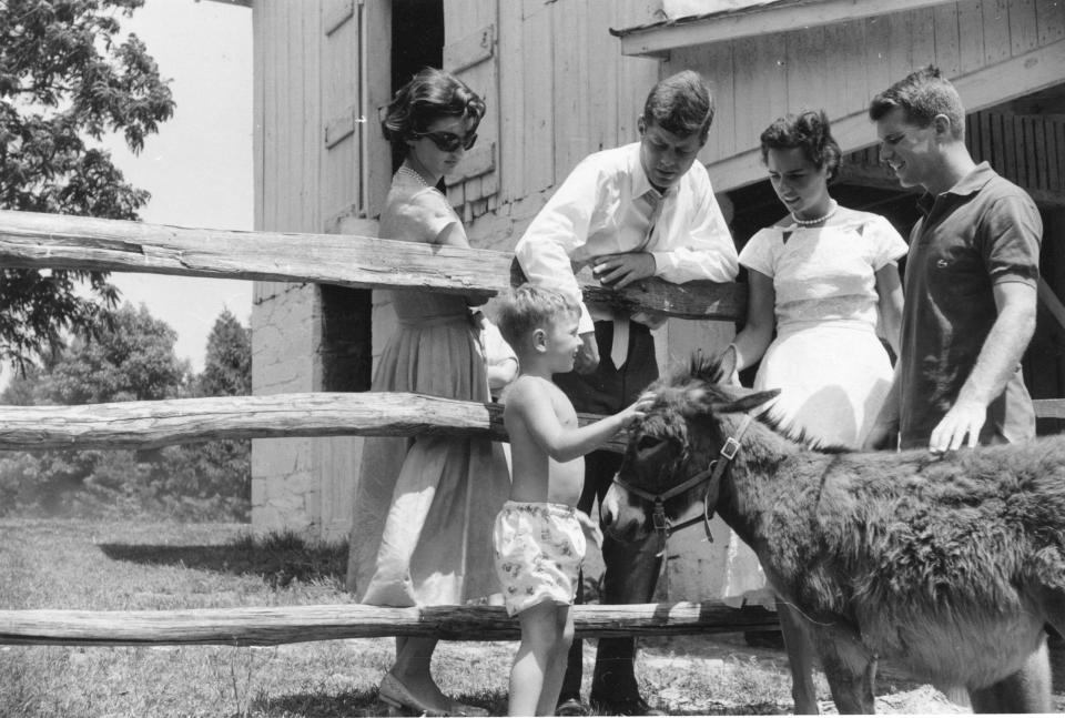 Robert Kennedy, Senior (right), who ran for President in 1968 but was assassinated. With him, left to right, Jacqueline Kennedy, then Senator (later President) John F. Kennedy, and Ethel Kennedy, watch as Joseph P, Kennedy II pets a donkey. Hickory Hill, McLean, Virginia. Copyright Douglas Jones, Look Magazine. Credit: Look Magazine/John F. Kennedy Presidential Library and Museum, Boston.