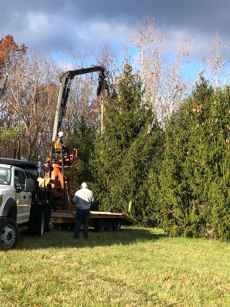 Bob and Carol Brydge started growing Christmas trees in the 1980's. Now in 2021, their tree was picked for Charlottesville's Grand Illumination.