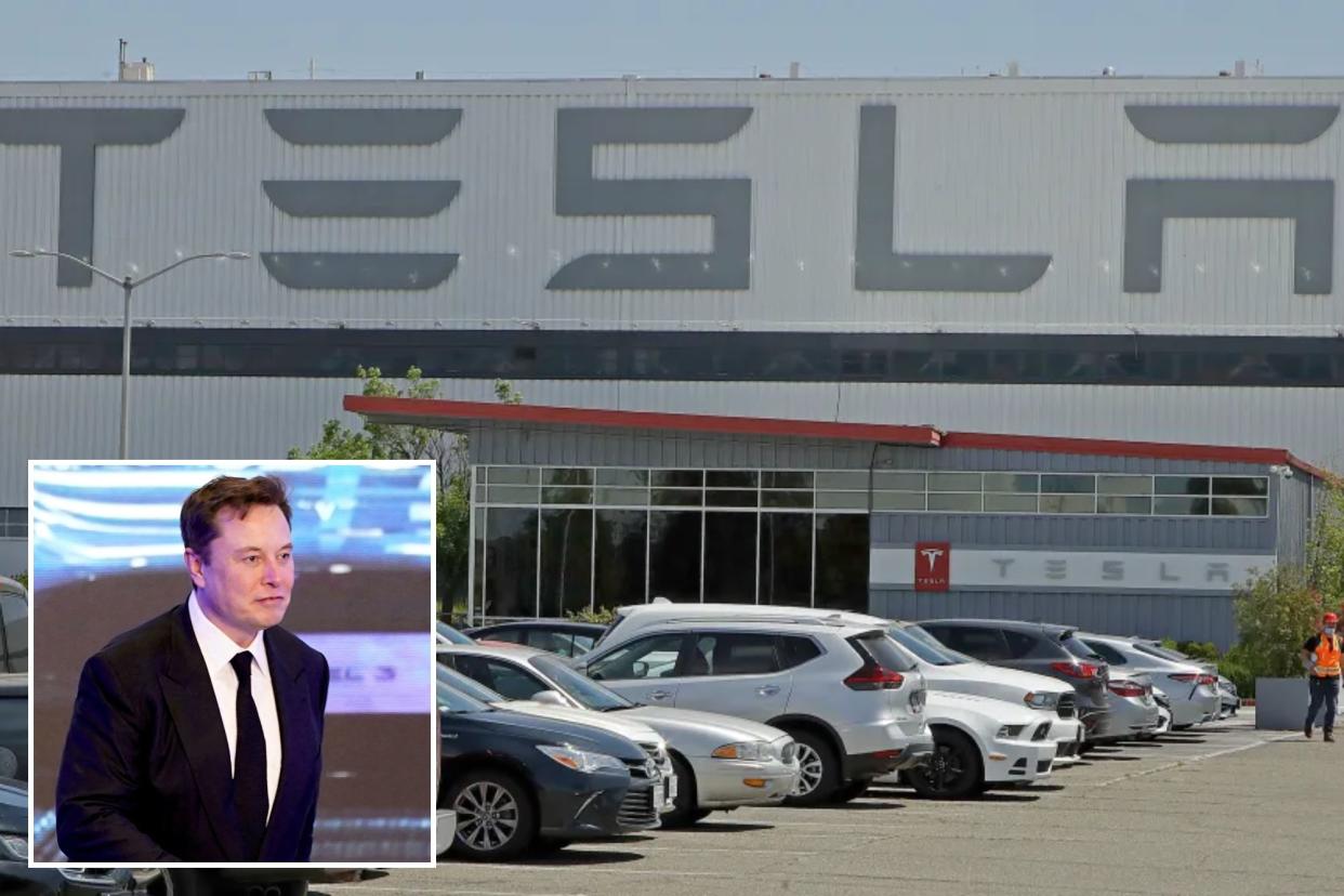 Tesla Fremont plant and Elon Musk