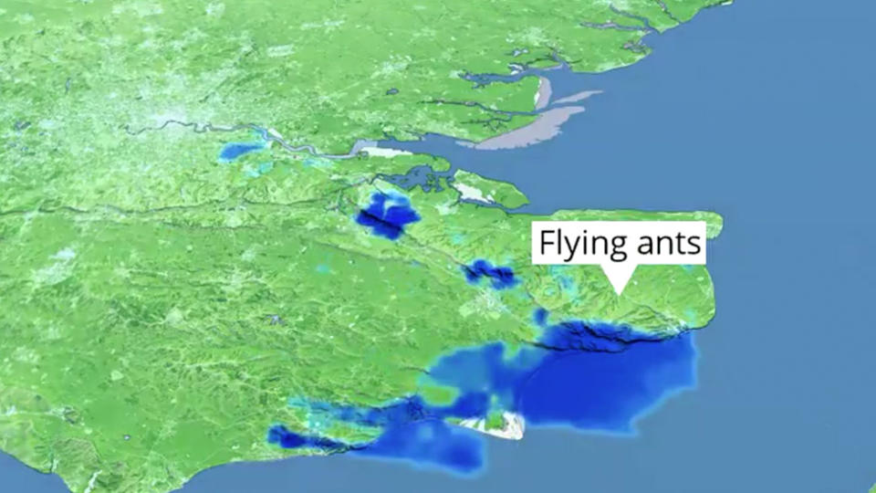 A weather radar still from the UK Met Office showing the swarm of ants that was mistaken for rain.