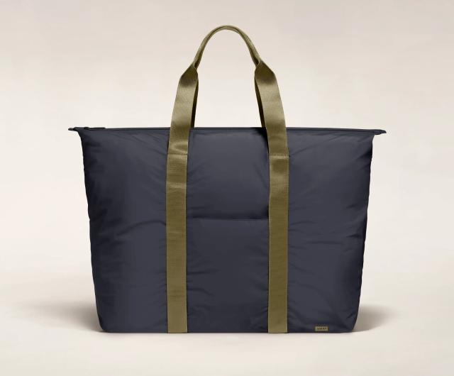 Best Personal Item for Airline Travel: Dagne Dover Landon Carryall Review -  Your Basic Bestie