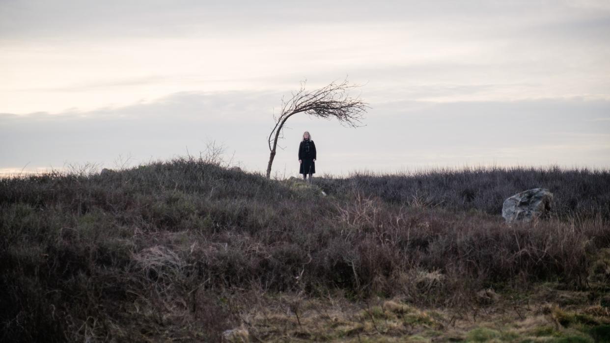  An old woman in the distance under a sparse windswept tree. 