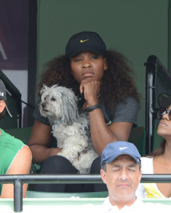 Serena Williams