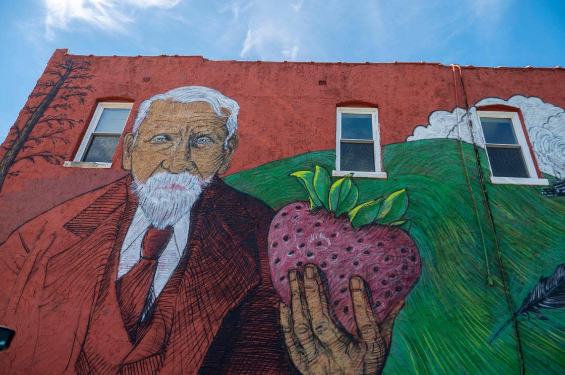 A mural showcasing a man holding a strawberry is displayed on a building on Central Avenue next to Splitlog Coffee Co. Coffee Shop on Friday, Sep. 30, 2022, in the Strawberry Hill neighborhood.