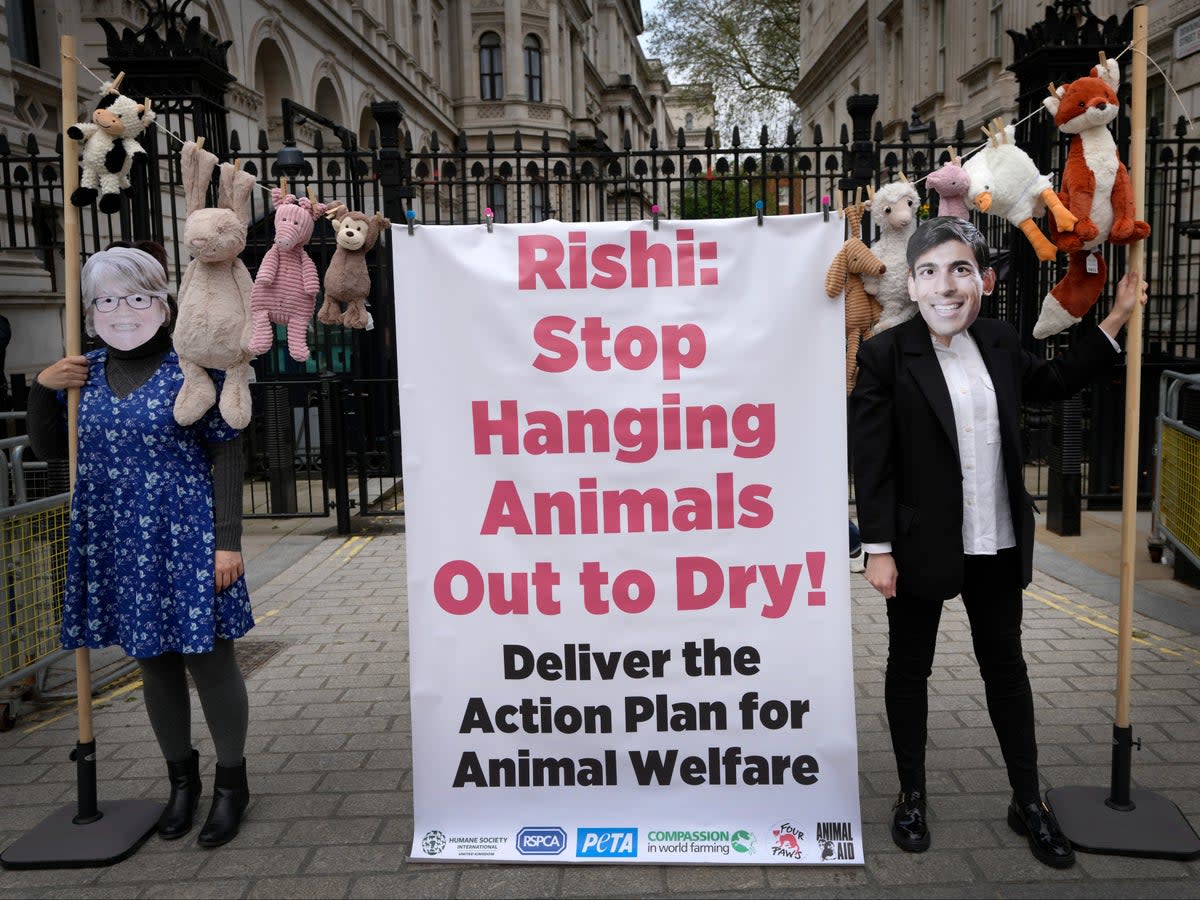 Charities used a banner urging Therese Coffey and Rishi Sunak not to ‘hang animals out to dry' (AP)