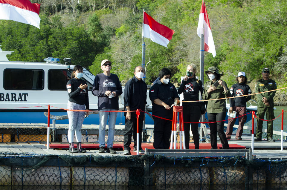 Indonesian Environment and Forestry Minister Siti Nurbaya Bakar, center, officially opens the gates to release rescued dolphins Rocky, Rambo and Johnny back into the wild in Banyuwedang Bay, West Bali, Indonesia Saturday, Sept. 3, 2022. Three bottlenose dolphins were released into the open sea in Indonesia Saturday after years of being confined for the amusement of tourists who would touch and swim with them. (DolphinProject.com via AP)