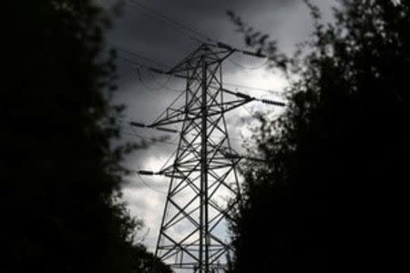 Electricity pylons are seen in London, Britain August 1, 2017. REUTERS/Neil Hall