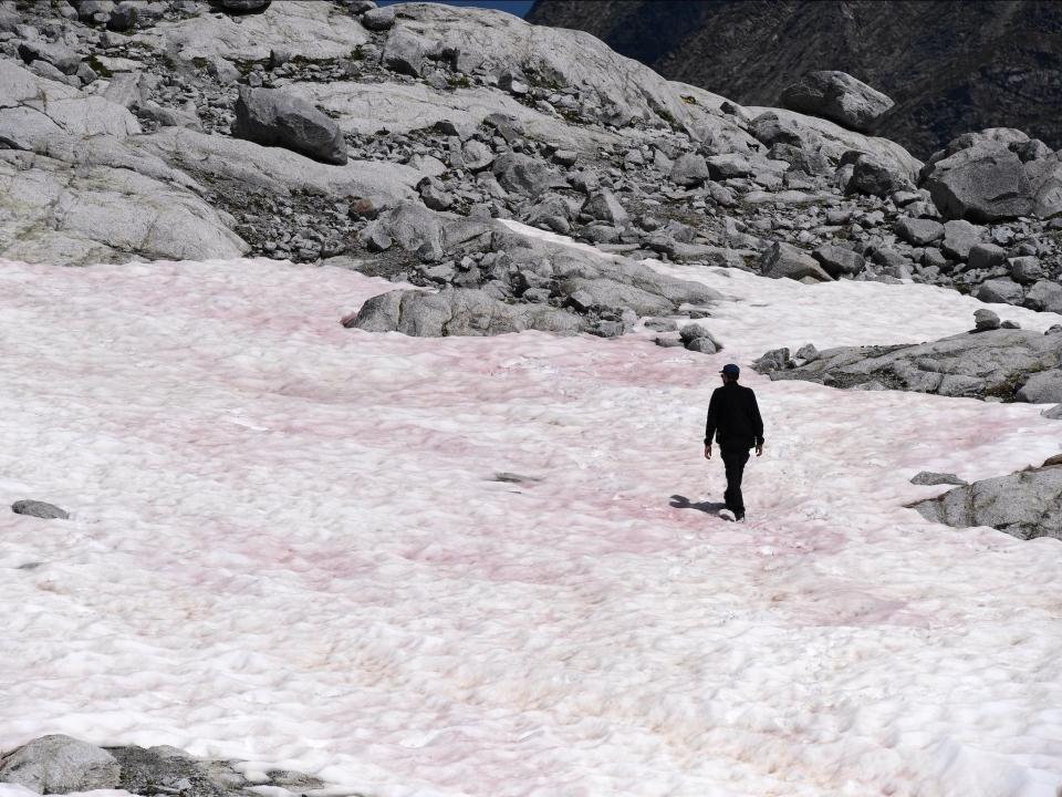 alps pink snow glacier