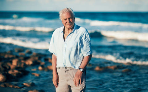 Patron saint of broadcasters: David Attenborough