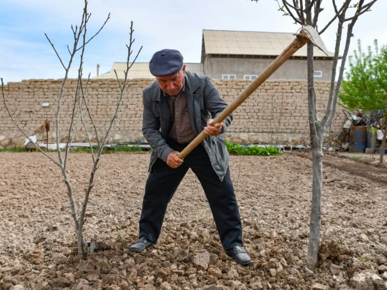 Djamoliddine Makhmaliev, déplacé climatique, plante des arbres dans le jardin de sa nouvelle maison du district de Khourosson, le 26 mars 2024 au Tadjikistan (-)