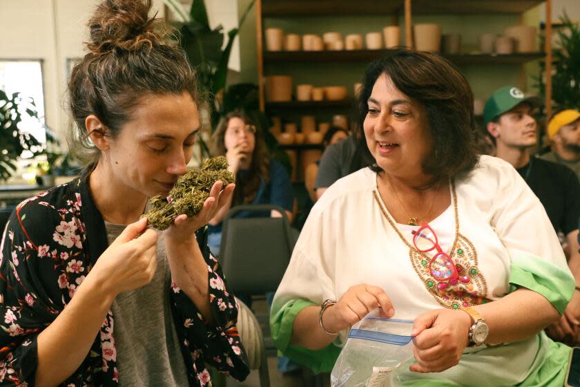 Debbie Peiser sniffs a large weed bud.