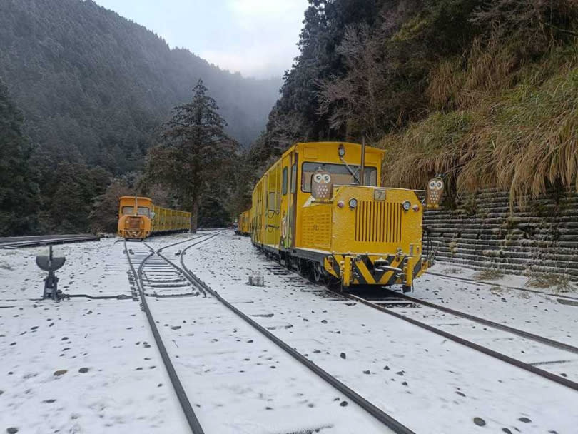 太平山於周一深夜開始降雪。（圖／翻攝自臉書／太平山國家森林遊樂區）