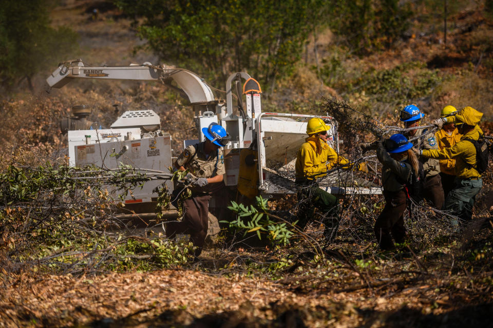 FILE - In this July 31, 2019, file photo, members of Emergency Wildfire Forest Management Project work together to construct shaded fuel breaks by hand pruning vegetation to minimize fire risk in the Sierra Foothills in Colfax, Calif. The Bureau of Land Management has announced plans to fund 11,000 miles (17,703 kilometers) of strategic fuel breaks in Idaho, Oregon, Washington, California, Nevada and Utah in an effort to help control wildfires. The fuel breaks are intended to prop up fire mitigation efforts and help protect firefighters, communities and natural resources, The Oregonian reported Saturday, Feb. 15, 2020. (Daniel Kim/The Sacramento Bee via AP, Pool)