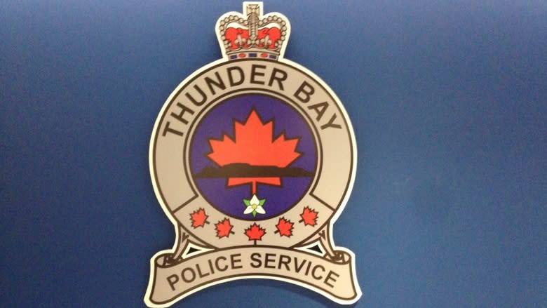 Thunder Bay police board to decide whether to hold hearings for officers over Stacy DeBungee investigation