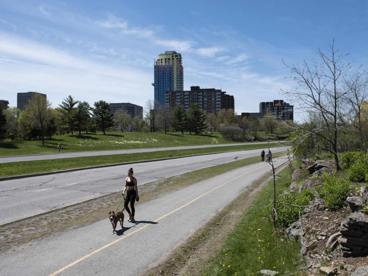Indigenous groups consulted over what to rename the Sir John A. Macdonald Parkway have chosen the name Kichi Zībī Mīkan, according to a National Capital Commission letter. Mīkan is an Algonquin word meaning road or path. (Justin Tang/Canadian Press - image credit)