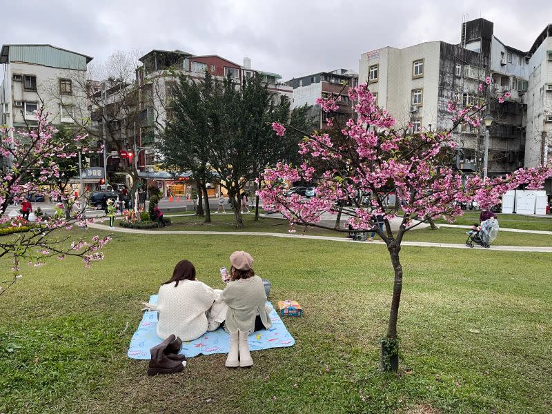 ▲新北高灘處不藏私公開新北「3大超好拍野餐勝地」，蒐羅全新北市坐擁大片草地、藍天美景的公園推薦給各位野餐咖。（示意圖／記者汪睿琦攝）