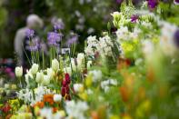 <p>It may be the most prestigious but it is no longer Britain's largest flower show – that accolade actually goes to the <a href="https://www.housebeautiful.com/uk/garden/a39725205/hampton-court-flower-show-2022/" rel="nofollow noopener" target="_blank" data-ylk="slk:RHS Hampton Court Palace Garden Festival;elm:context_link;itc:0;sec:content-canvas" class="link ">RHS Hampton Court Palace Garden Festival</a>, previously named the RHS <a href="https://www.housebeautiful.com/uk/garden/a27445844/rhs-hampton-court-palace-flower-show-name-change-garden-festival/" rel="nofollow noopener" target="_blank" data-ylk="slk:Hampton Court Palace Flower Show;elm:context_link;itc:0;sec:content-canvas" class="link ">Hampton Court Palace Flower Show</a>.<br></p>