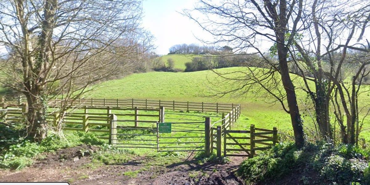 The attack took place in Ludwell Valley Park  (Google Maps)