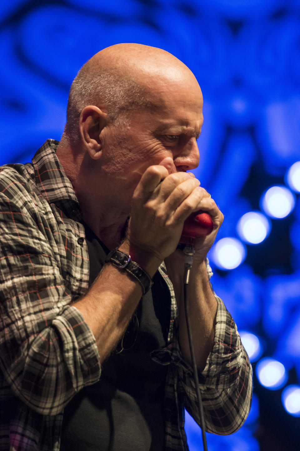 <p>Excellent joueur d’harmonica et chanteur confirmé, Bruce Willis a même sorti deux albums dans les années 80. Entre deux tournages, il se produit régulièrement sur scène, seul ou accompagné. Avec son groupe Bruce Willis Blues Band, il part souvent en tournée. En 2019, plusieurs concerts sont prévus à travers le monde. </p>